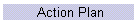 Action Plan