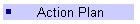 Action Plan