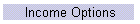 Income Options