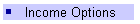 Income Options