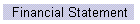 Financial Statement